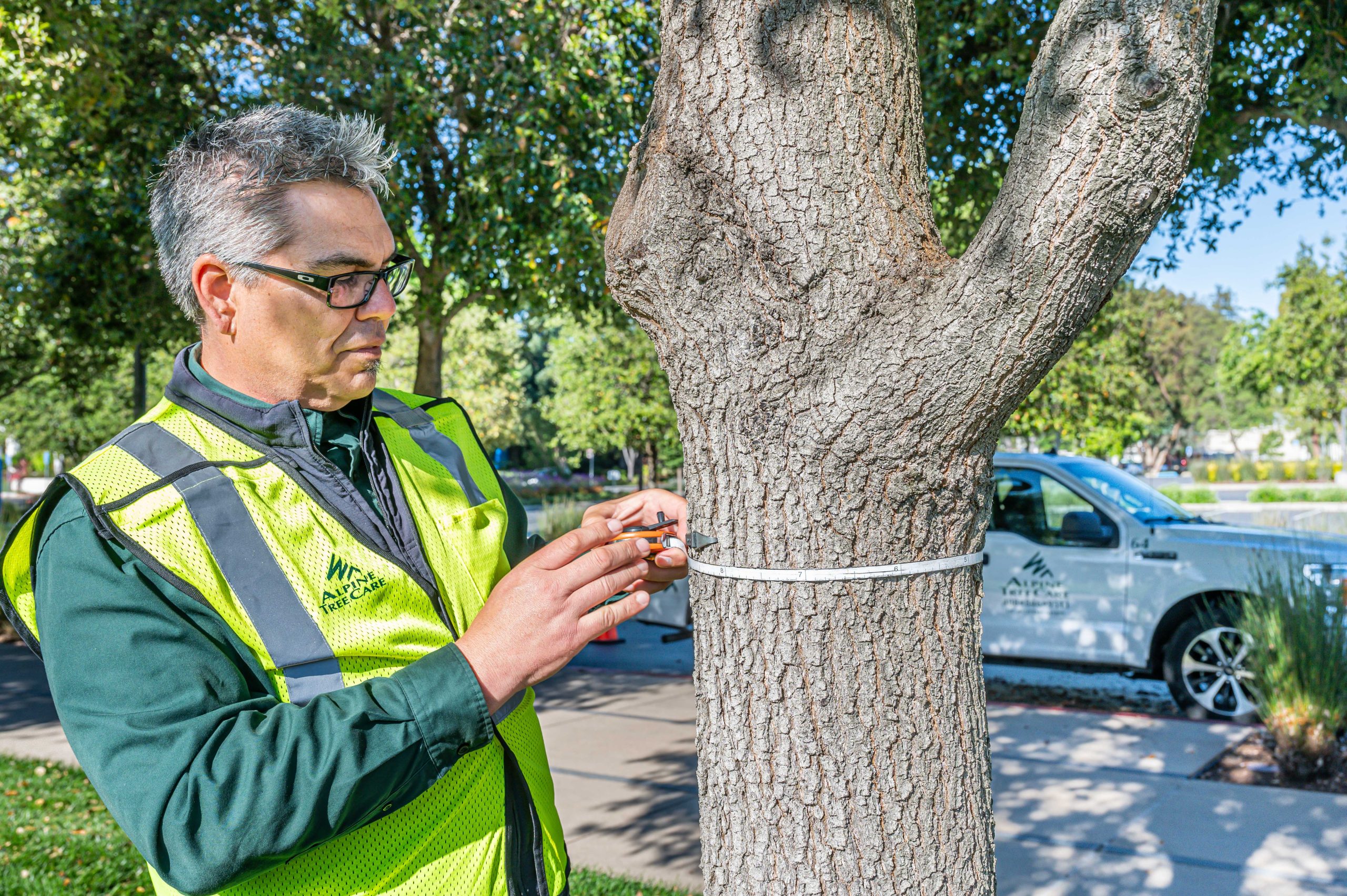 Arborist Reports: What Homeowners and HOAs Need to Know