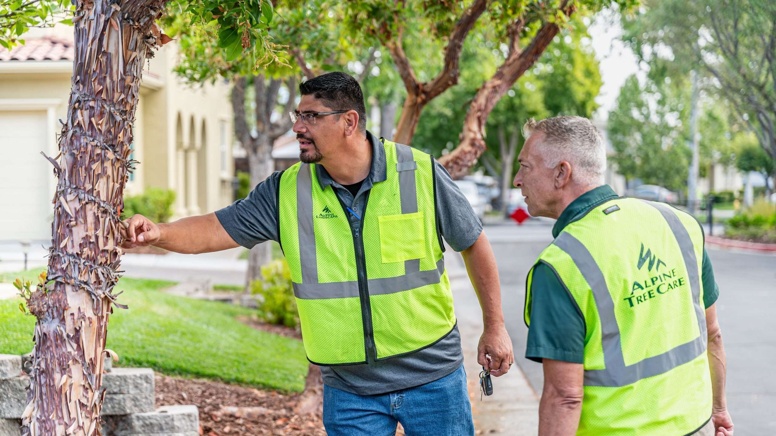 Two Alpine Tree Care arborists wearing high-visibility vests inspecting a tree in a residential area. One professional is pointing at the tree bark, assessing its condition.
