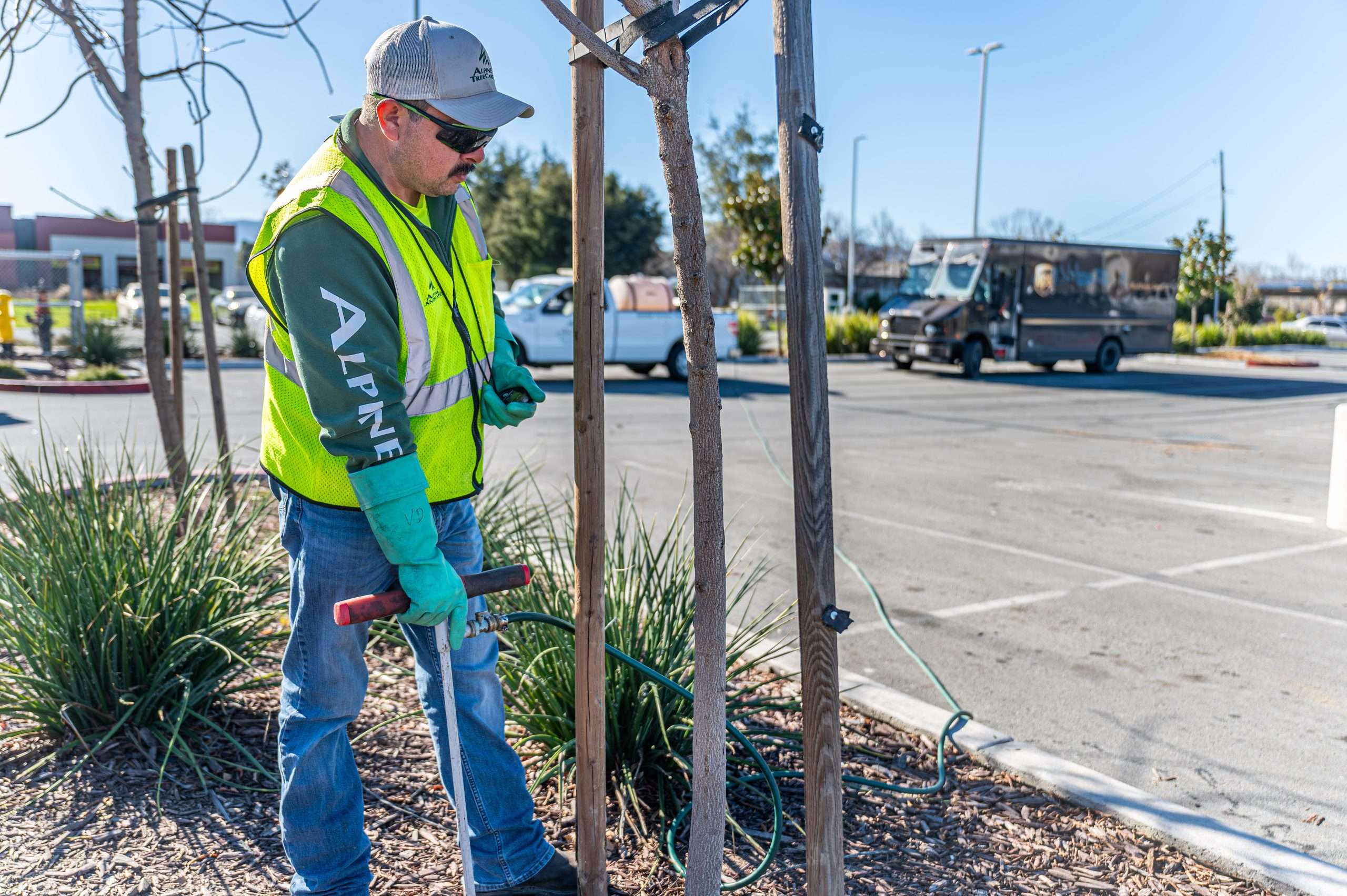 Arborist Advantage: Expert Tree Care for Property Managers